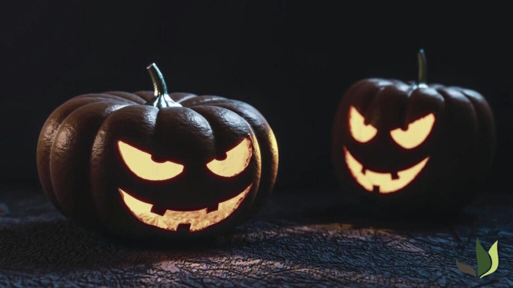 Comment creuser une citrouille pour Halloween : les meilleurs conseils pour un effet spectaculaire !