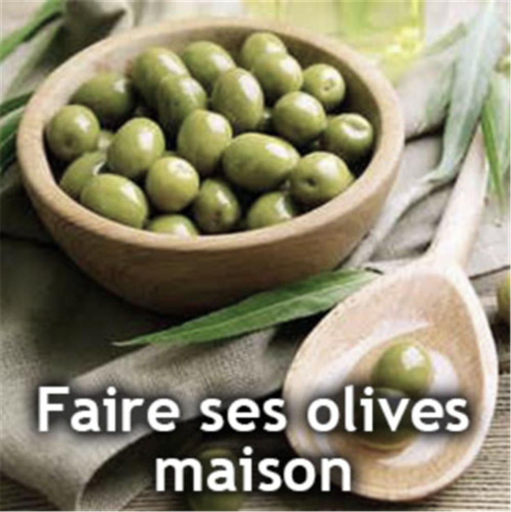 Comment transformer vos olives fraîchement cueillies en une délicieuse recette !