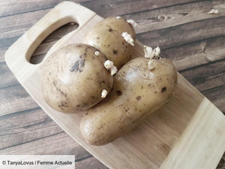 Comment prévenir la germination des pommes de terre : les astuces simples et efficaces.