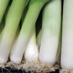 Comment congeler des poireaux pour une conservation optimale !