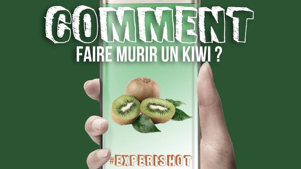 Comment mûrir des Kiwis : 5 astuces faciles pour obtenir des fruits mûrs à la perfection !