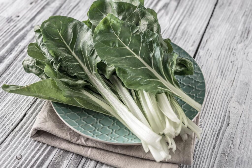 Cuisiner les blettes : découvrez nos meilleures recettes!